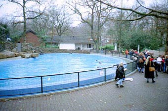 Duisburg Robbenbecken