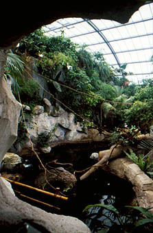 Blick ber den Wasserfall-Teich aus der Grotte