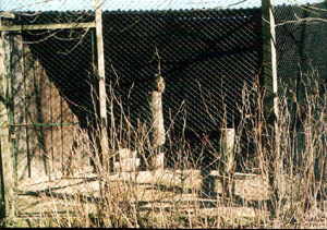 Uhu-Voliere