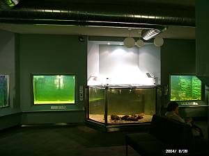 Aquarienraum