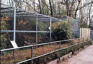 Wildkatzengehege