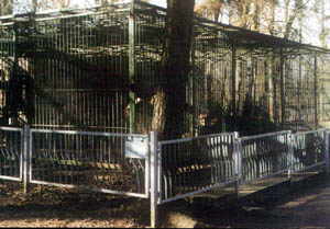 B�renzwinger