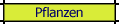 Pflanzen