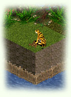 Tiger-Graben